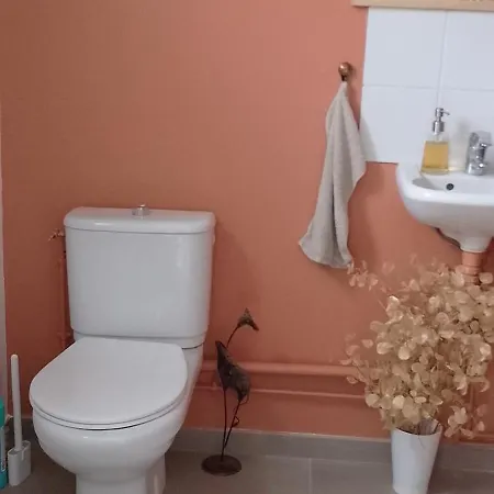 Alloggio in famiglia Chambre chez l'habitant *